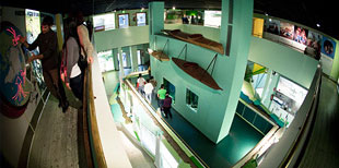 pic3.jpg